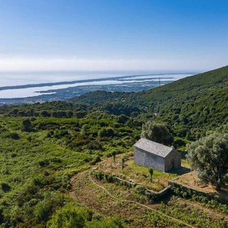 Appartement Neuf Entre Mer Et Montagne. Furiani Εξωτερικό φωτογραφία