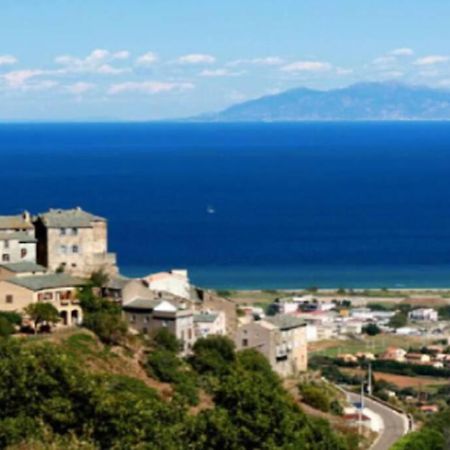 Appartement Neuf Entre Mer Et Montagne. Furiani Εξωτερικό φωτογραφία